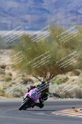 media/Apr-14-2024-SoCal Trackdays (Sun) [[70f97d3d4f]]/1-Turn 5 Tree of Life (920am)/